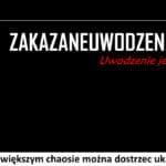 313 – Nawet w największym chaosie można dostrzec ukryty schemat