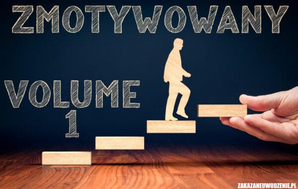 Zmotywowany Vol.1